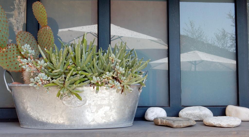 Appartement I Freschi à San Bartolomeo Al Mare Extérieur photo